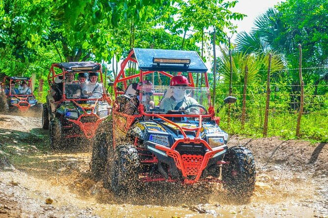 wild-roar-drive-a-vip-predactor-into-the-jungles-of-punta-cana