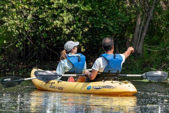 Wild & Scenic Loxahatchee River Guided Tour - What to Expect from the Experience