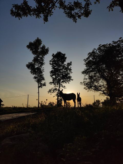wild-spring-ranch-rakovica-croatia-horse-riding