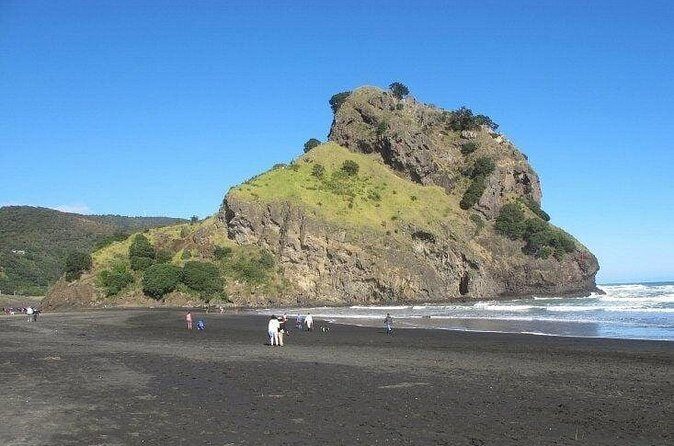 Wild West Coast & Rainforest Escape - Private Experience - Relaxed Return and Reflection