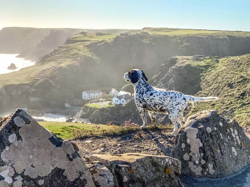 Wild west: Tour Cornwall`s rugged west coast. - Key Points
