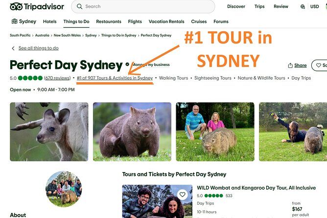 WILD Wombat and Kangaroo Day Tour, All Inclusive - A Truly Full-Day Nature Escape from Sydney