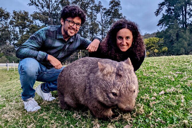 WILD Wombat and Kangaroo Day Tour, All Inclusive - Final Thoughts