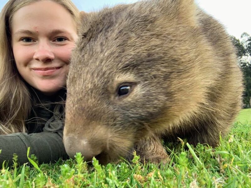 WILD Wombats and Kangaroo Experience, All Inclusive, Sydney - Introducing the Tour Review