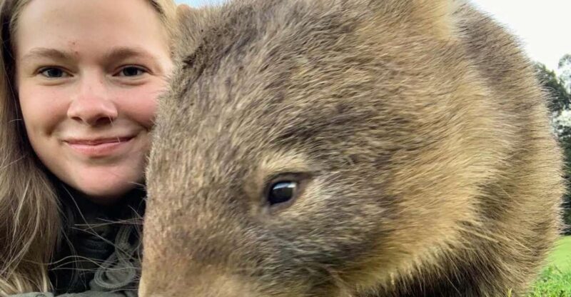 WILD Wombats and Kangaroo Experience, All Inclusive, Sydney - Key Points