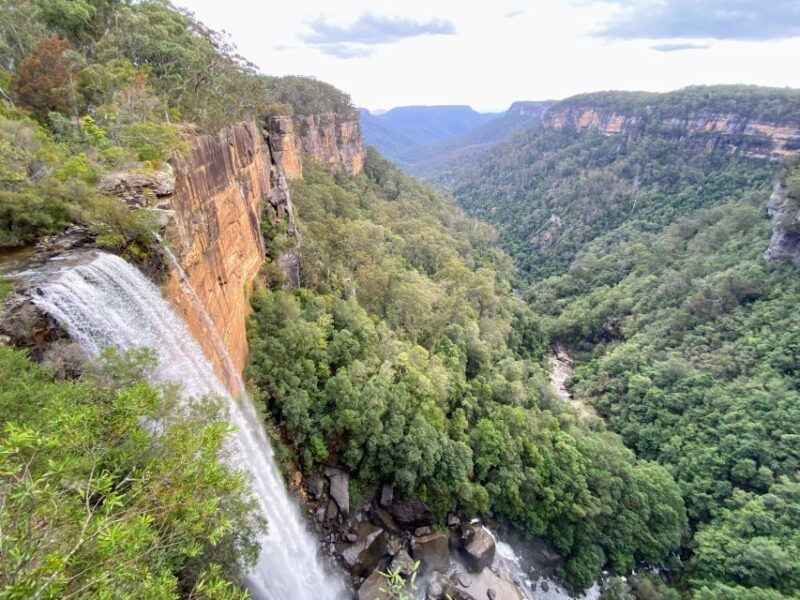 WILD Wombats and Kangaroo Experience, All Inclusive, Sydney - What Travelers Are Saying