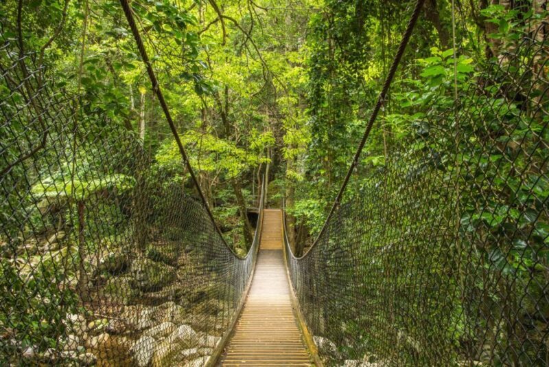 WILD Wombats and Kangaroo Experience, All Inclusive, Sydney - FAQ