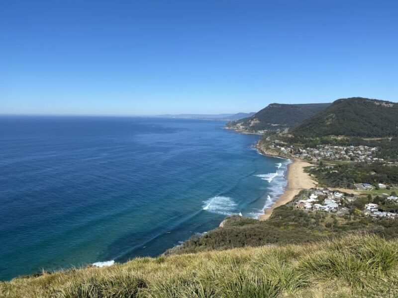 WILD Wombats and Kangaroo Experience, All Inclusive, Sydney - Final Thoughts