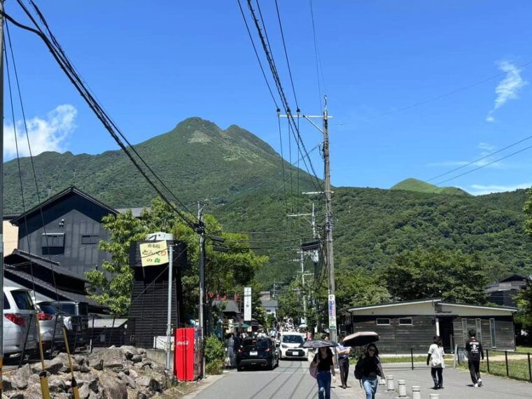 wild-yufuin-a-day-of-lakes-zoos-and-wonders-in-kyushu