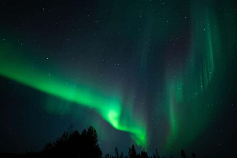 Wilderness Adventure by Snowmobile Sleigh - Who Will Love This Tour?