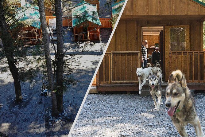 Wilderness Dog Sled Ride and Tour in Seward - Final Thoughts