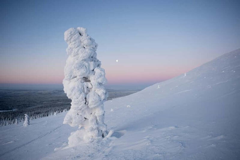 Wilderness Escape  4 Days in Karigasniemi, Finnish Lapland - Practical Aspects: What You Need to Know