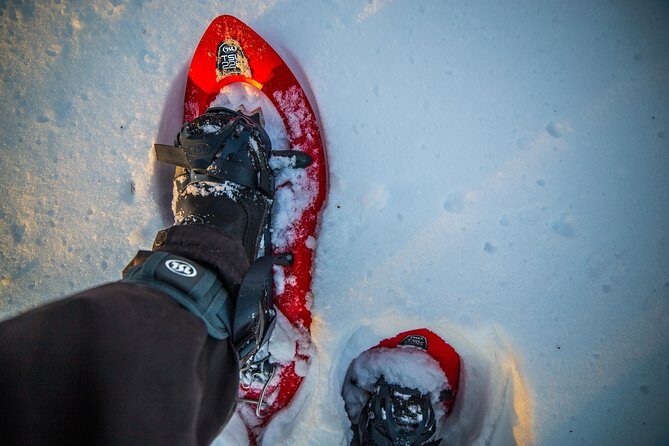 Wilderness snowshoe adventure - What is the Wilderness Snowshoe Adventure?