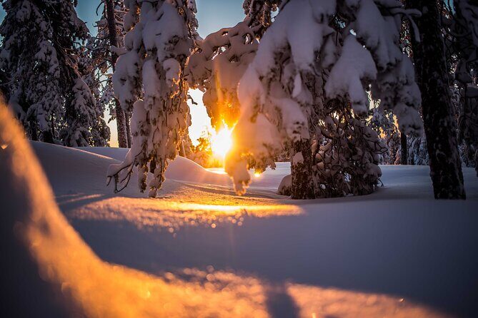 Wilderness snowshoe adventure - Authentic Experiences and Insights from Reviewers