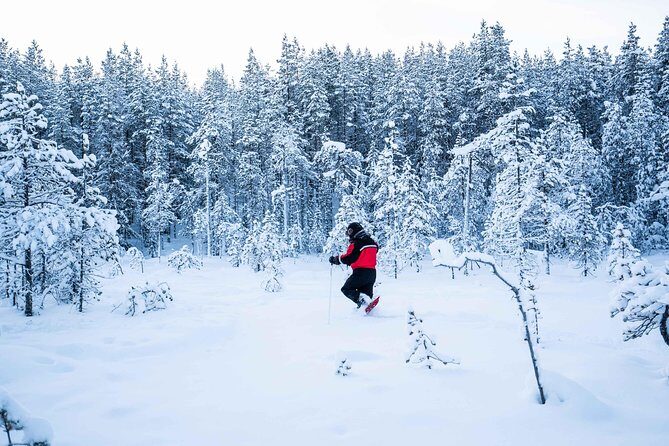 Wilderness snowshoe adventure - Pricing and Value