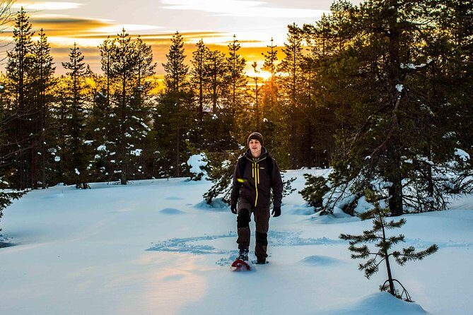 Wilderness snowshoe adventure - Final Thoughts: Who Should Consider This Tour?