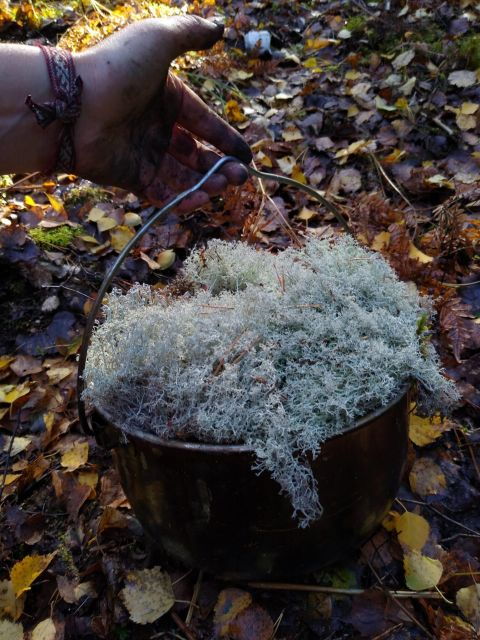 wilderness-survival-and-bushcraft-course-in-stockholm