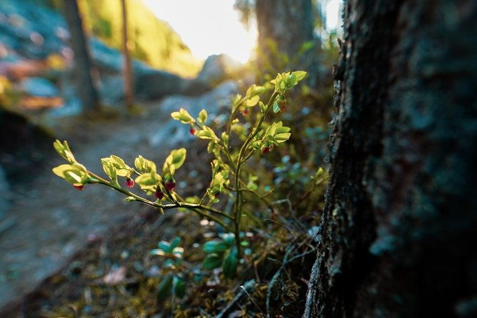 wilderness-survival-tour-summer-autumn