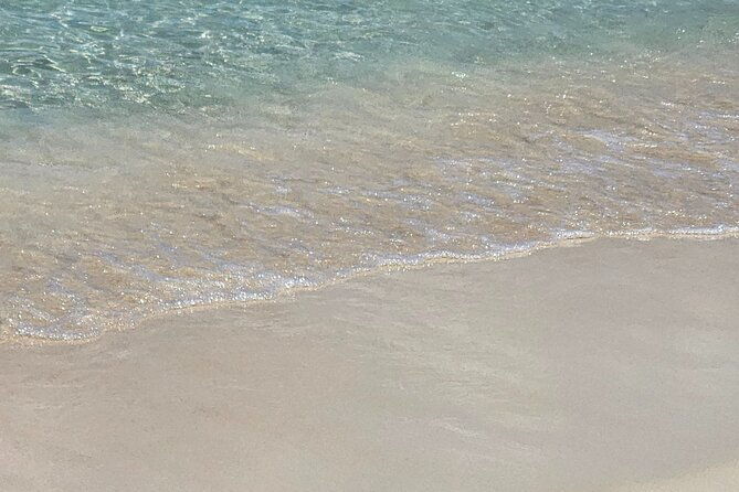 wildlife-adventure-beach