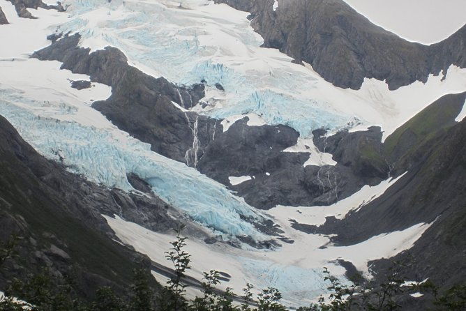 wildlife-and-glaciers-with-a-walk-in-the-rainforest