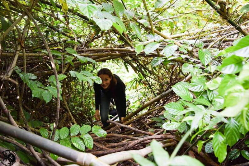 Wildlife and Jungle Adventure - 01Day in Phong Nha - The Full Itinerary Breakdown