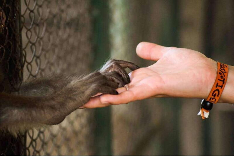 Wildlife and Jungle Adventure - 01Day in Phong Nha - Why This Tour Offers Great Value