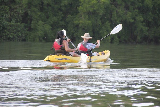wildlife-and-mangrove-kayaking-tour-rio-ora