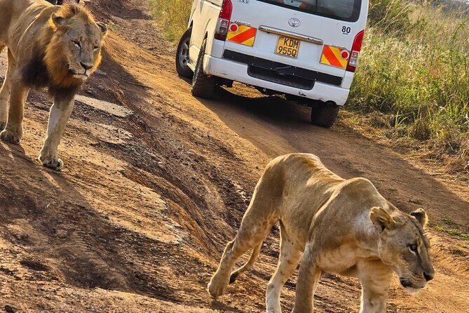 Wildlife Capital: Half-Day Safari at Nairobi National Park - Why This Tour Stands Out