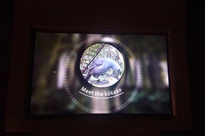 Wildlife Centre Experience - Who Will Love This Tour?