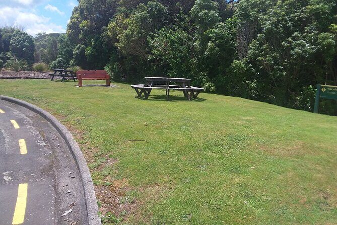 Wildlife Centre Experience - Final Thoughts