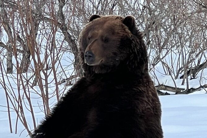 wildlife-conservation-center-and-portage-glacier-lake-viewing