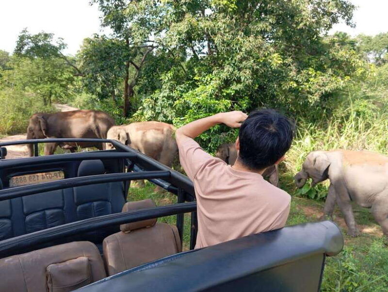 wildlife-experience-at-minneriya-national-park-safari