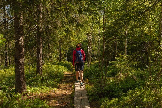 wildlife-forest-hike