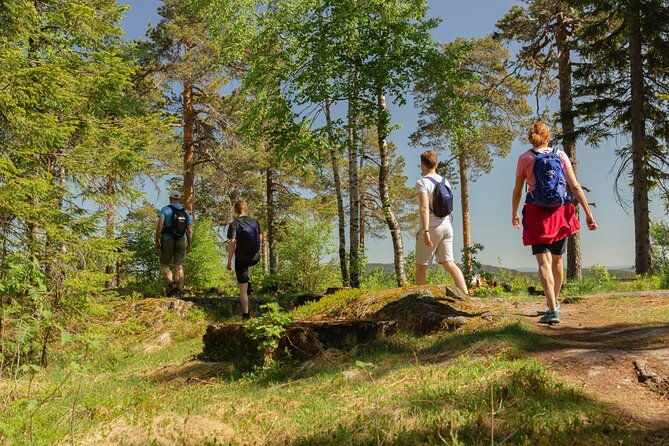 wildlife-forest-hike