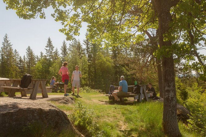 wildlife-forest-hike
