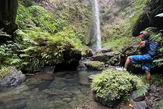 wildlife-hike-middleham-falls