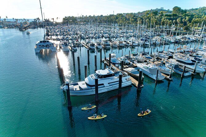 Wildlife Kayak Tour in Santa Barbara Harbor (2 Hours) - What Is the Wildlife Kayak Tour in Santa Barbara?