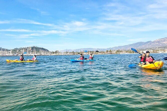 Wildlife Kayak Tour in Santa Barbara Harbor (2 Hours) - Equipment and Safety: Designed for Comfort and Confidence