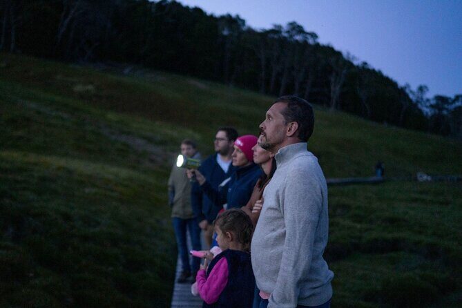 Wildlife Night Spotting at Cradle Mountain - Exploring the Wildlife Night Spotting Tour