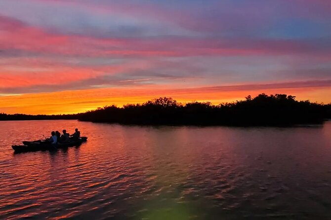 wildlife-refuge-bio-comb-jelly-sunset-kayak-or-paddleboard-tour