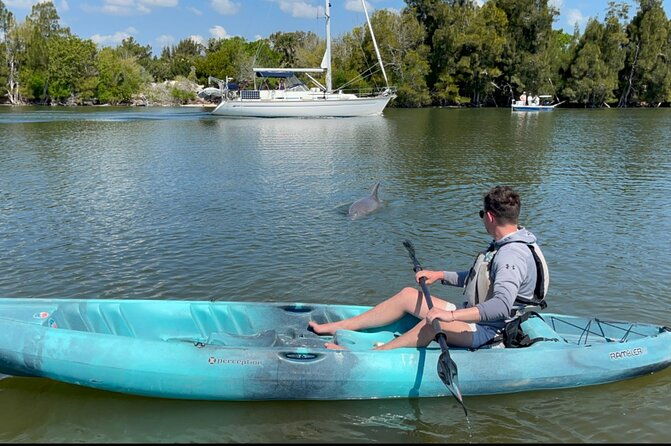 wildlife-refuge-sunset-dolphin-manatee-mangrove-kayak-or-paddleboarding-tour-2