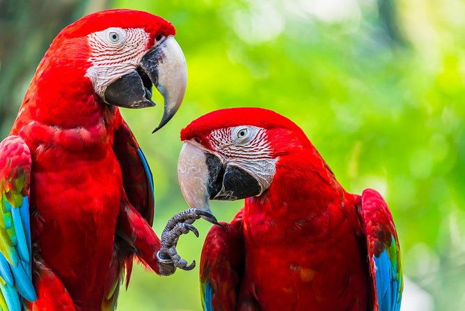 wildlife-rescue-center-private-tour