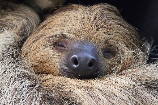 wildlife-rescue-center-private-tour
