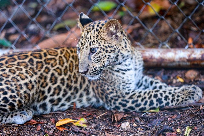 wildlife-rescue-center-private-tour
