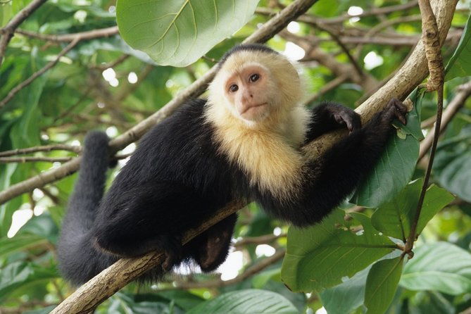 wildlife-rescue-center-private-tour