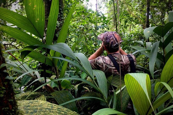 wildlife-safari-boat-tenorio-excellent-bird-watching-tour