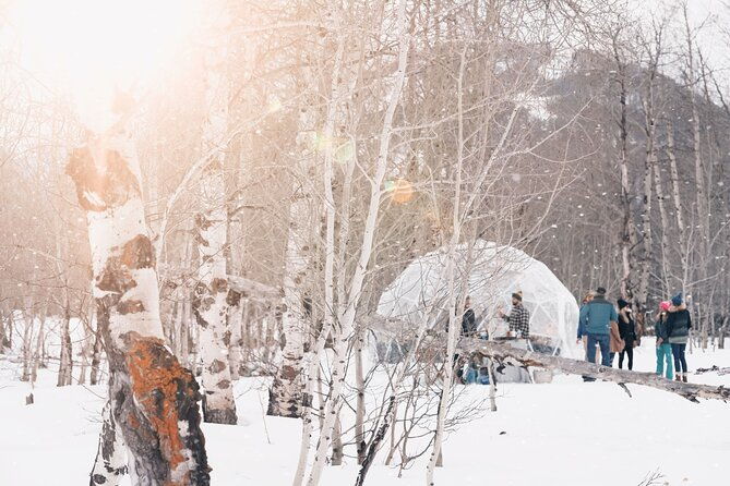 wildlife-safari-elk-refuge-sleigh-ride-winter-camp-igloo-dinner
