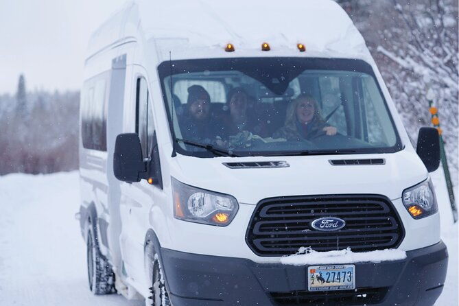 wildlife-safari-elk-refuge-sleigh-ride-winter-camp-igloo-dinner