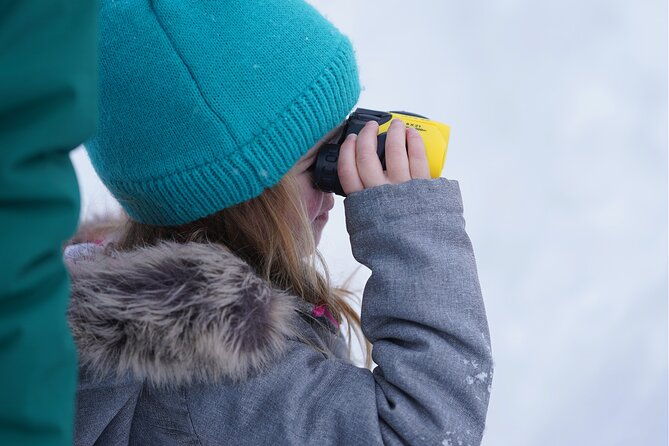 wildlife-safari-elk-refuge-sleigh-ride-winter-camp-igloo-dinner