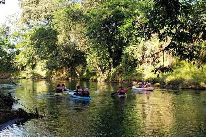 wildlife-safari-experience-by-kayak